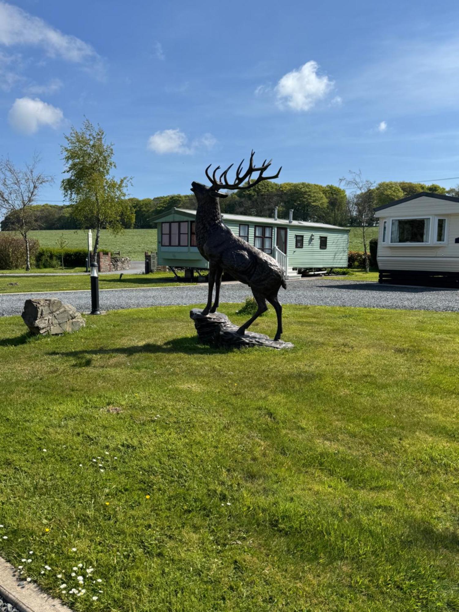 Happydays Caravan 1 Newton Stewart Whithorn Eksteriør bilde